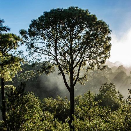 Bosque Escondido 호텔 마자미틀라 외부 사진