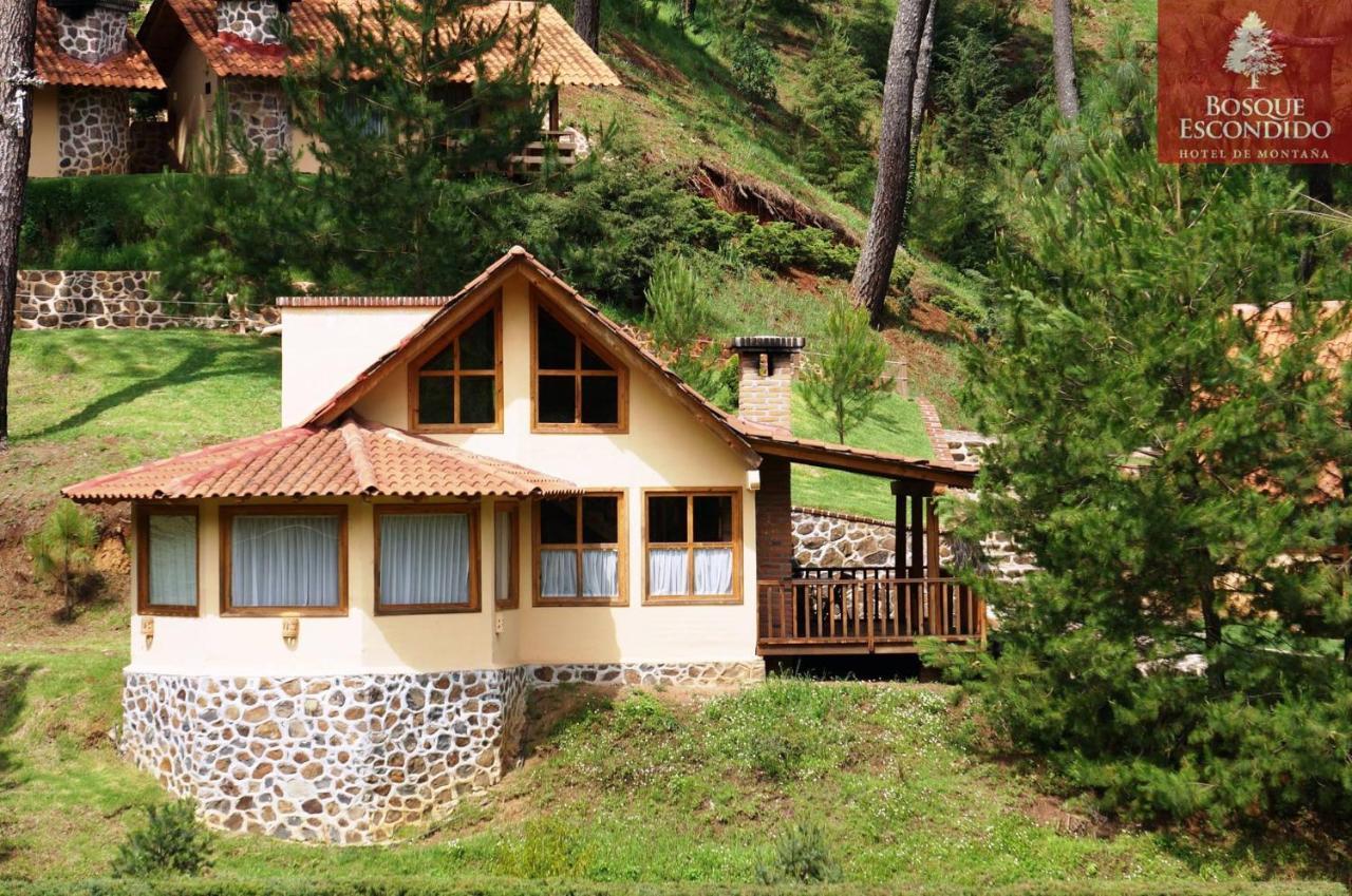 Bosque Escondido 호텔 마자미틀라 외부 사진