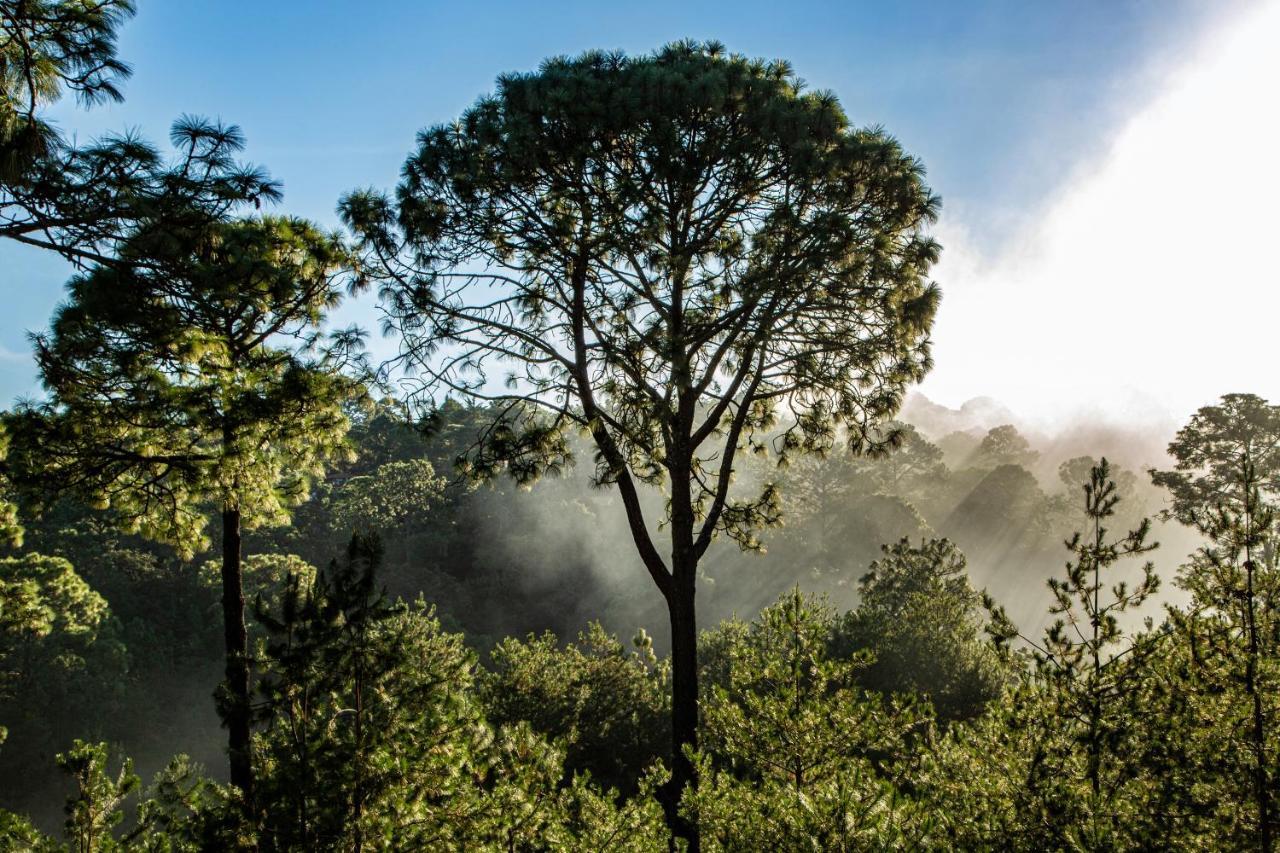 Bosque Escondido 호텔 마자미틀라 외부 사진
