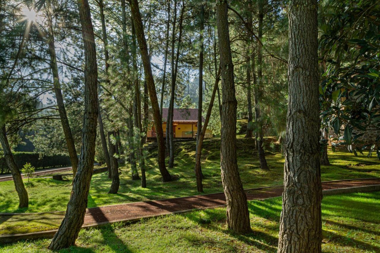 Bosque Escondido 호텔 마자미틀라 외부 사진