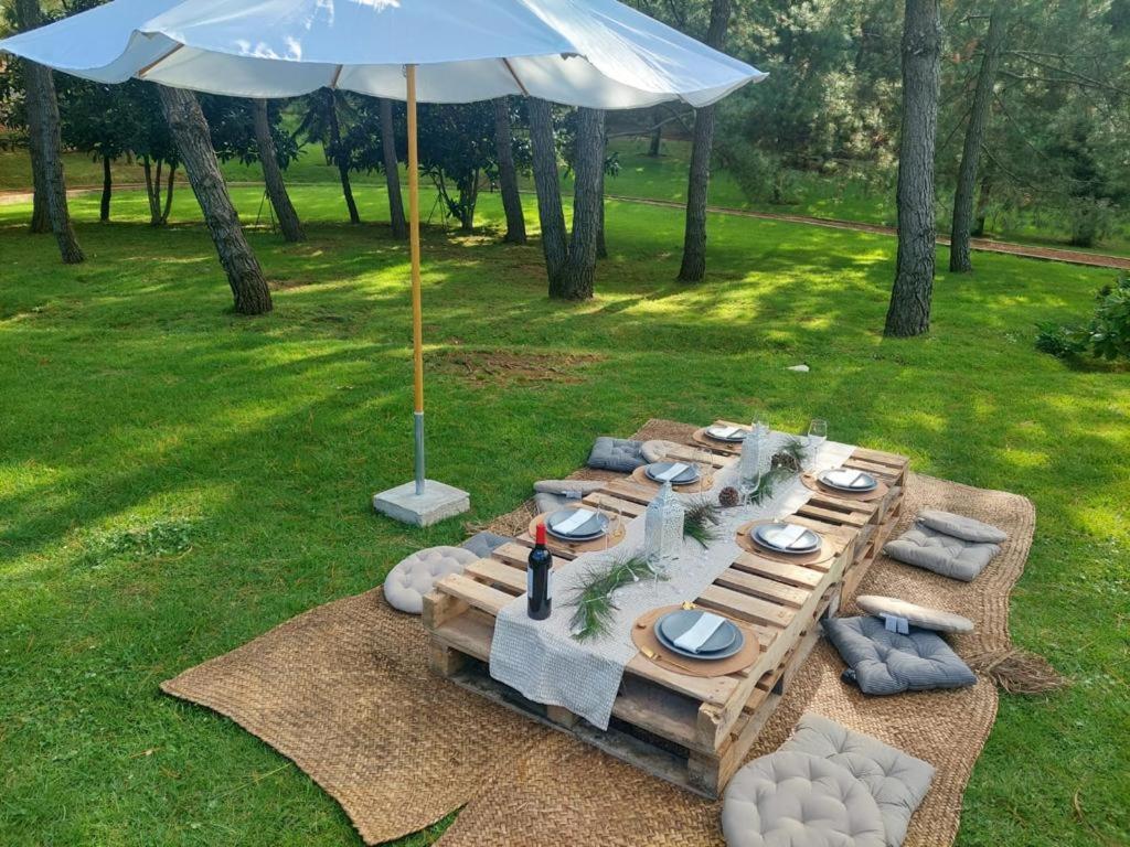 Bosque Escondido 호텔 마자미틀라 외부 사진